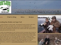 Cape Cod Sea Duck Hunting